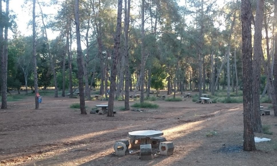 DSİ – Çamlık Piknik Ve Kamp Alanı