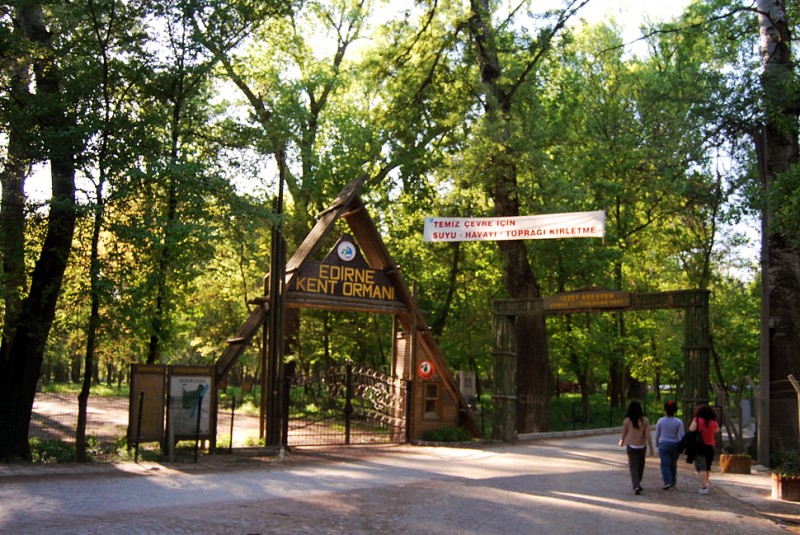 Edirne Kent Ormanı Kamp Alanı