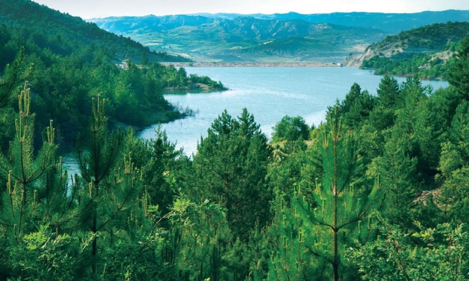 Yenipazar Baraj Göleti