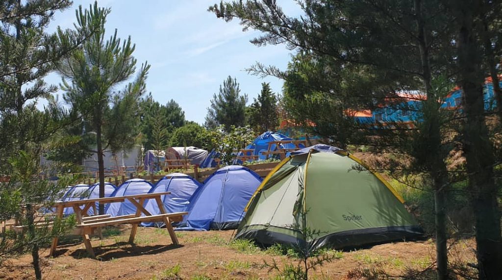 Gelesun KampLAND Camping