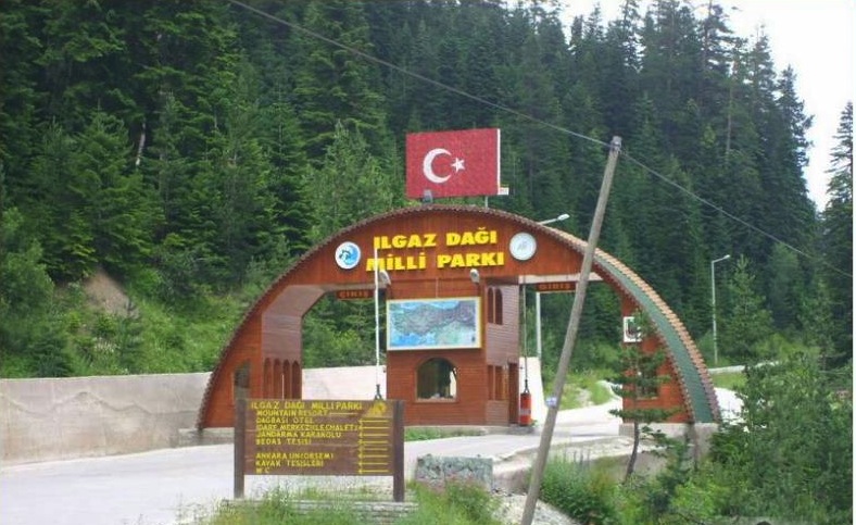 Ilgaz Dağı Milli Parkı Kamp Alanı