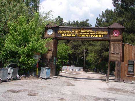 19. Çamlık Tabiat Parkı Kamp Alanı