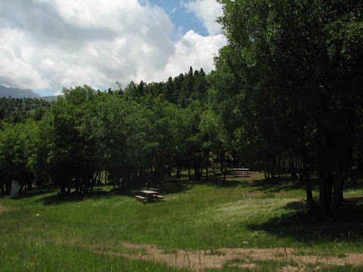 10. Kocakoru Ormanı Tabiat Parkı Kamp Alanı