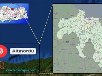 altınordu nerede