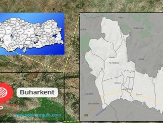 Buharkent nerede