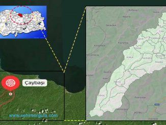 Çaybaşı nerede