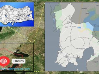 Didim nerede