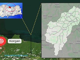 Korgan nerede