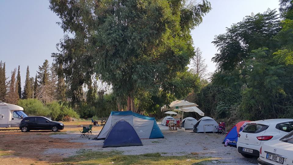 Çınar Çadır Karavan Kamp Alanı