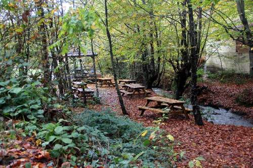 Zonguldak Kent Ormanı Kamp Alanı
