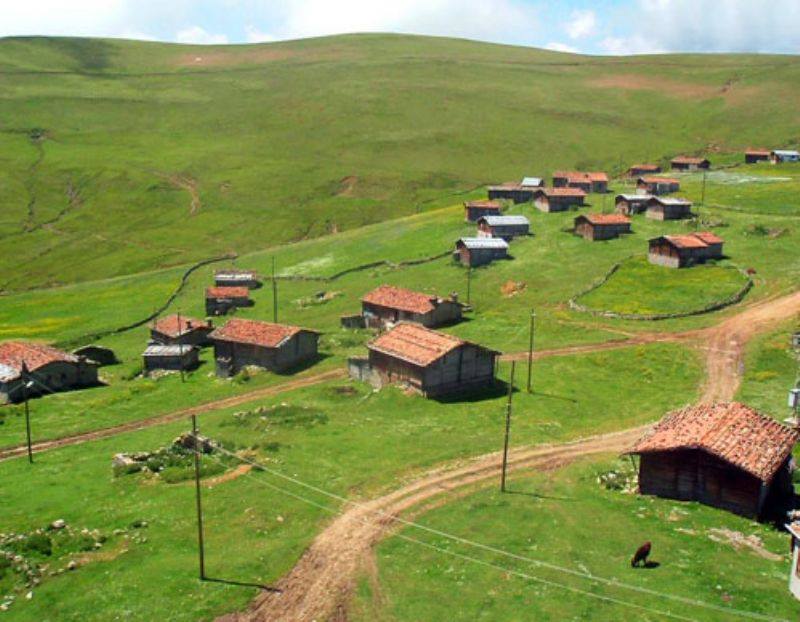 Yılantaş Yaylası Kamp Alanı, Trabzon Kamp Alanları