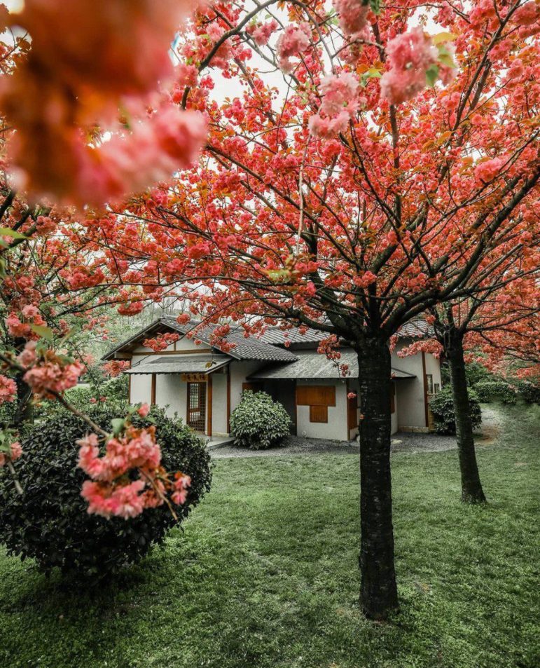 Sarıyer Gezilecek Yerler Baltalimanı Japon Bahçesi