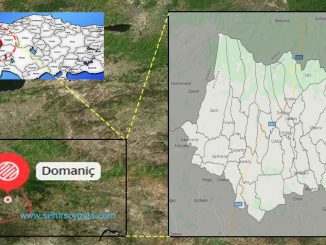 Domaniç nerede