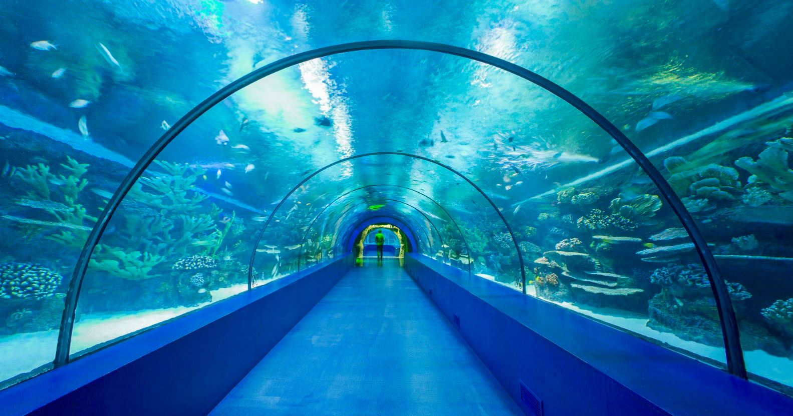 Konyaaltı Gezilecek Yerler Antalya Aquarium