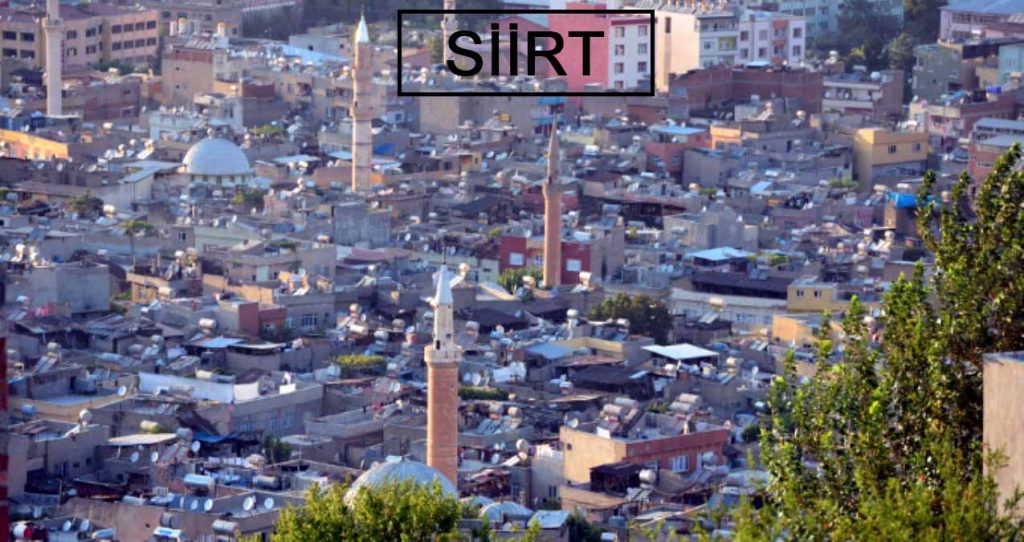 Siirt nerede